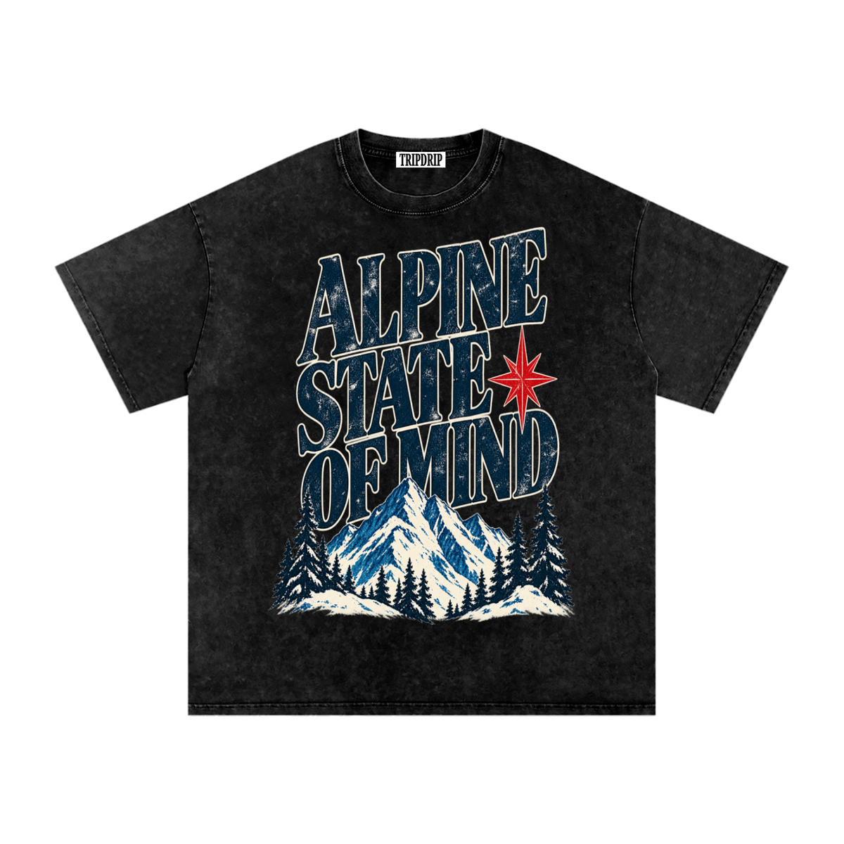 ALPINE STATE OF MIND OVERSIZED TEE