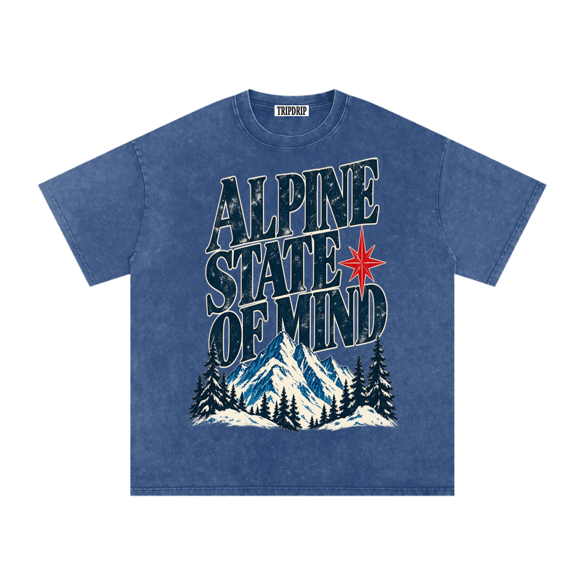 ALPINE STATE OF MIND OVERSIZED TEE
