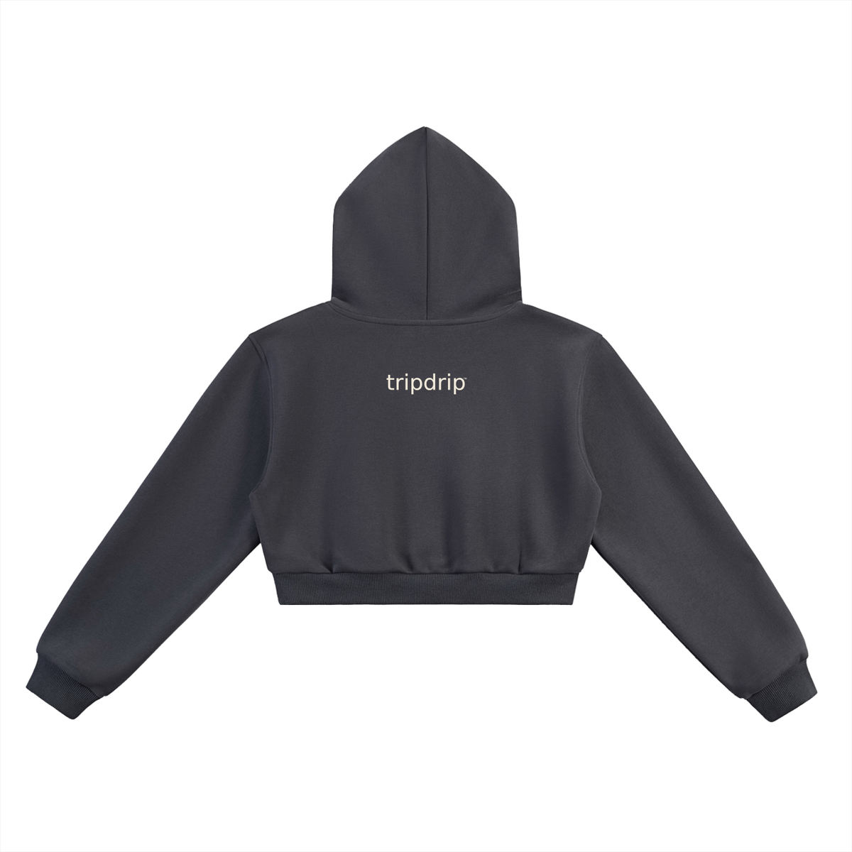 The Tourist Trap Crop Hoodie