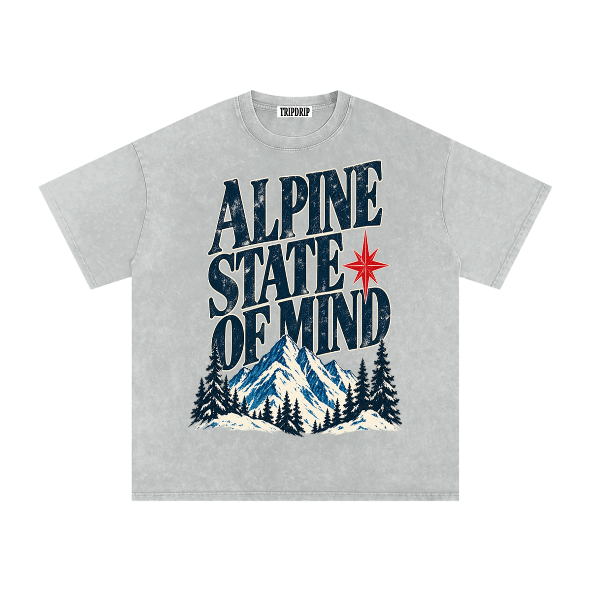 ALPINE STATE OF MIND OVERSIZED TEE