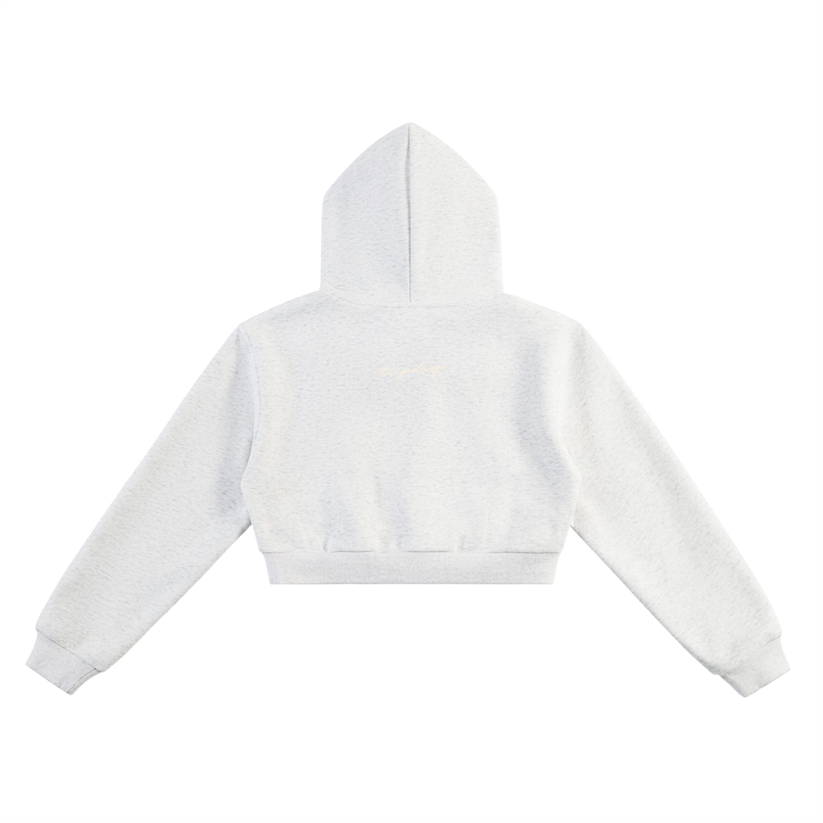 The Dead End Motel Crop Hoodie.