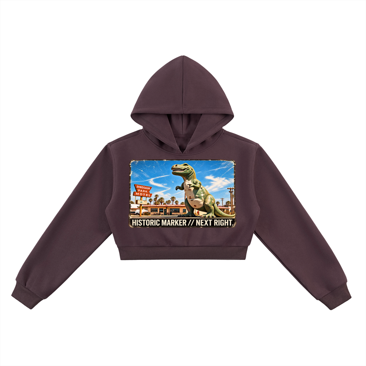 The Dino-Stop Crop Sweatshirt
