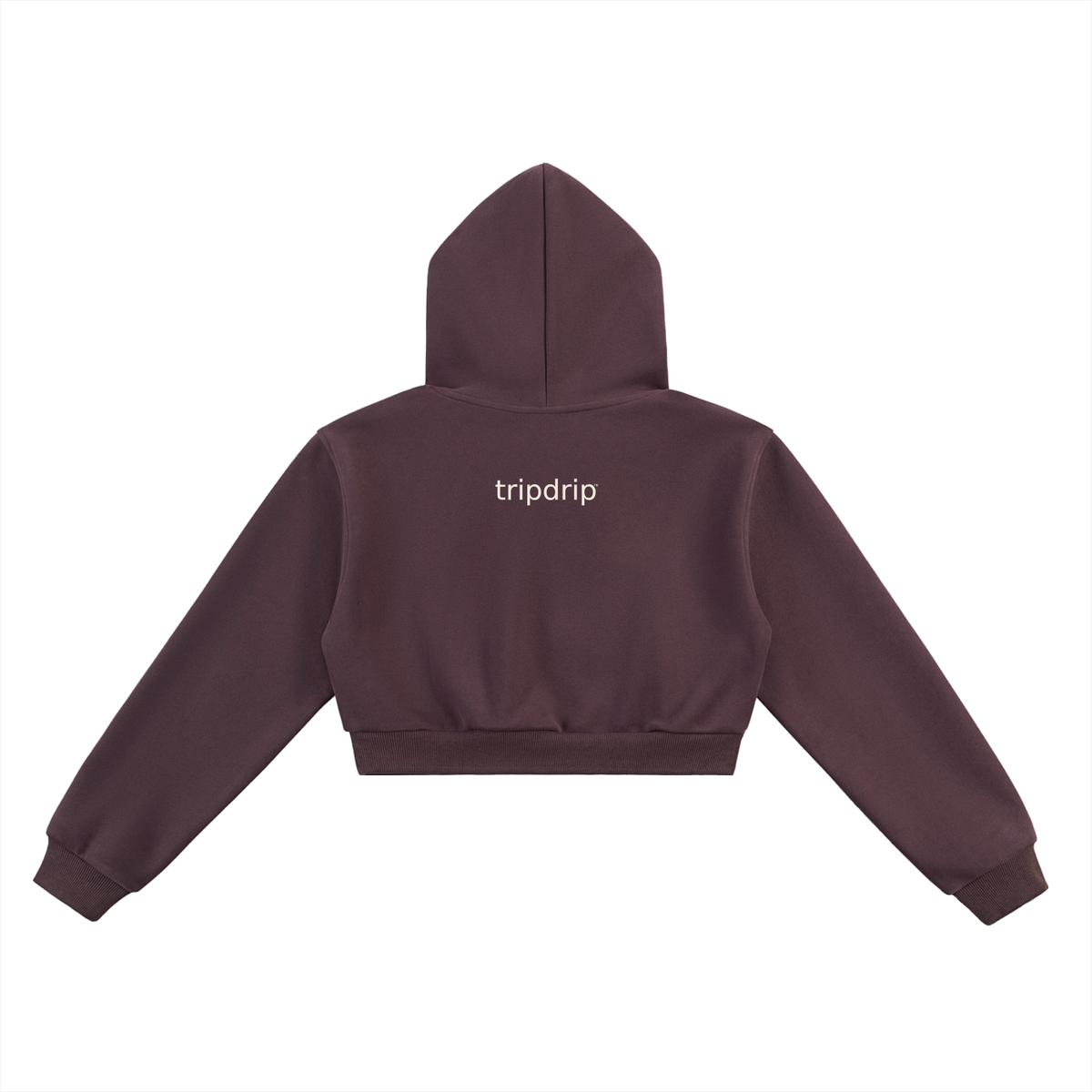 The Dino-Stop Crop Sweatshirt